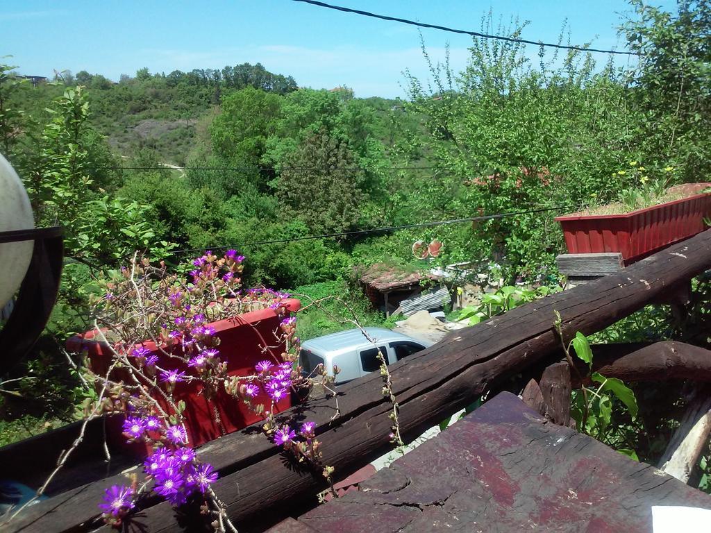 Ekoland Hotel Ağva Bagian luar foto