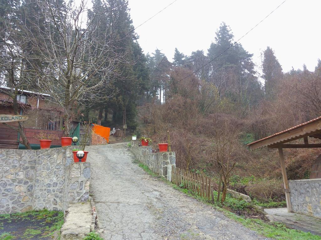Ekoland Hotel Ağva Bagian luar foto