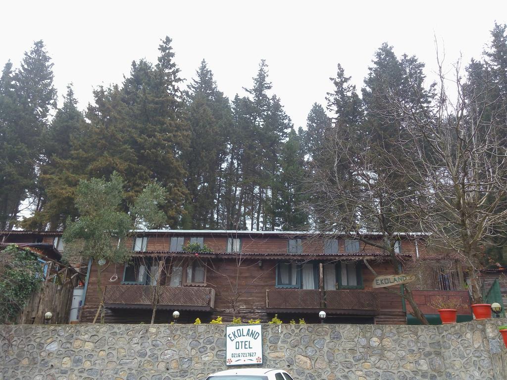 Ekoland Hotel Ağva Bagian luar foto
