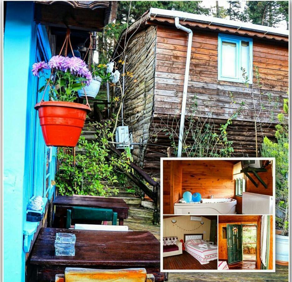 Ekoland Hotel Ağva Bagian luar foto