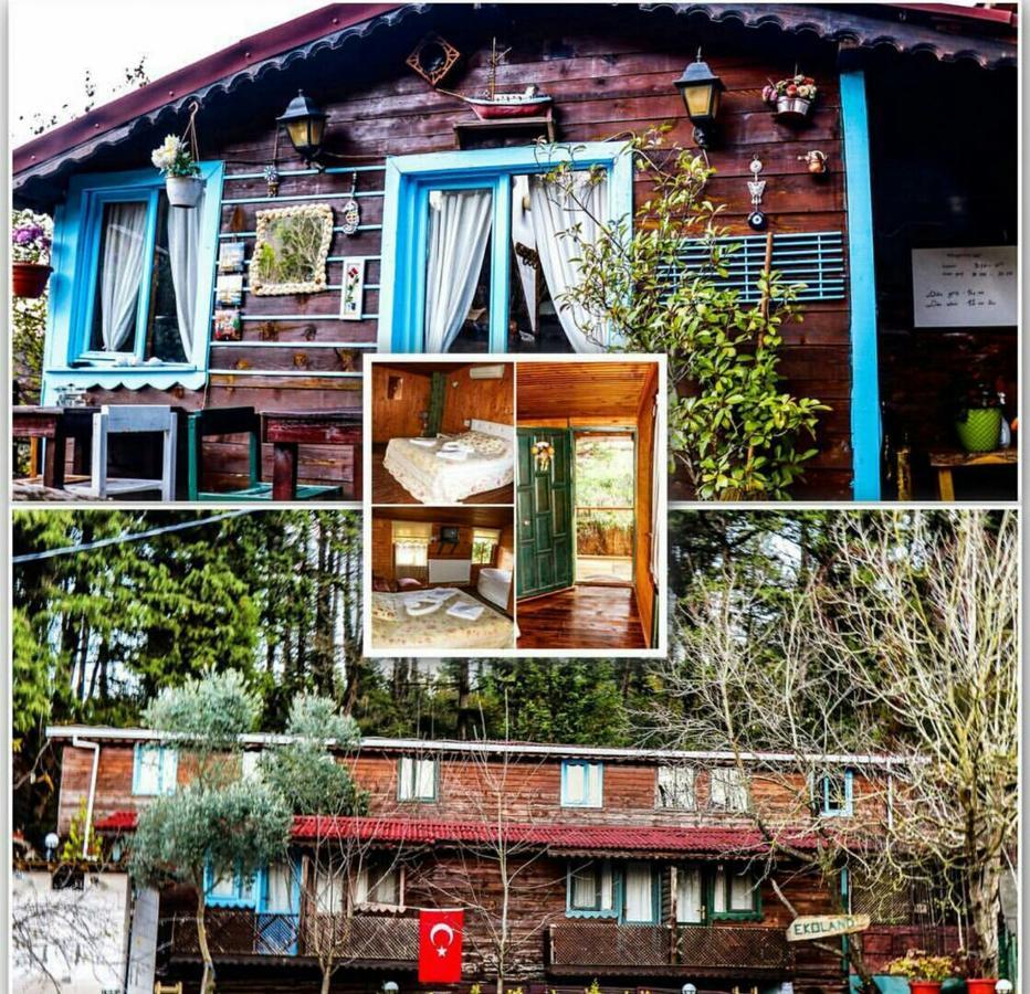 Ekoland Hotel Ağva Bagian luar foto