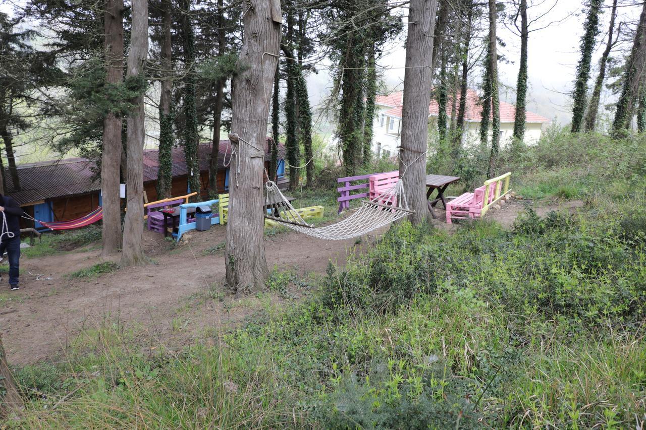 Ekoland Hotel Ağva Bagian luar foto